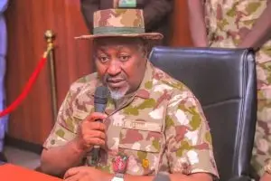 Defence Minister: Dense Forests Limit Airstrikes Against Terrorists, Bandits